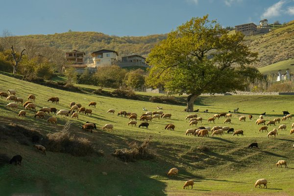 Quels sont les meilleurs circuits pour découvrir les villages traditionnels des îles grecques?