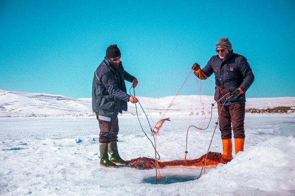 Comment découvrir les techniques de pêche traditionnelle au harpon en Polynésie?