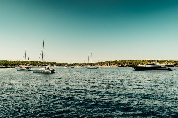 Quels sont les meilleurs circuits pour une croisière en catamaran dans les îles Grenadines?